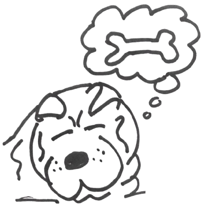 the dog
