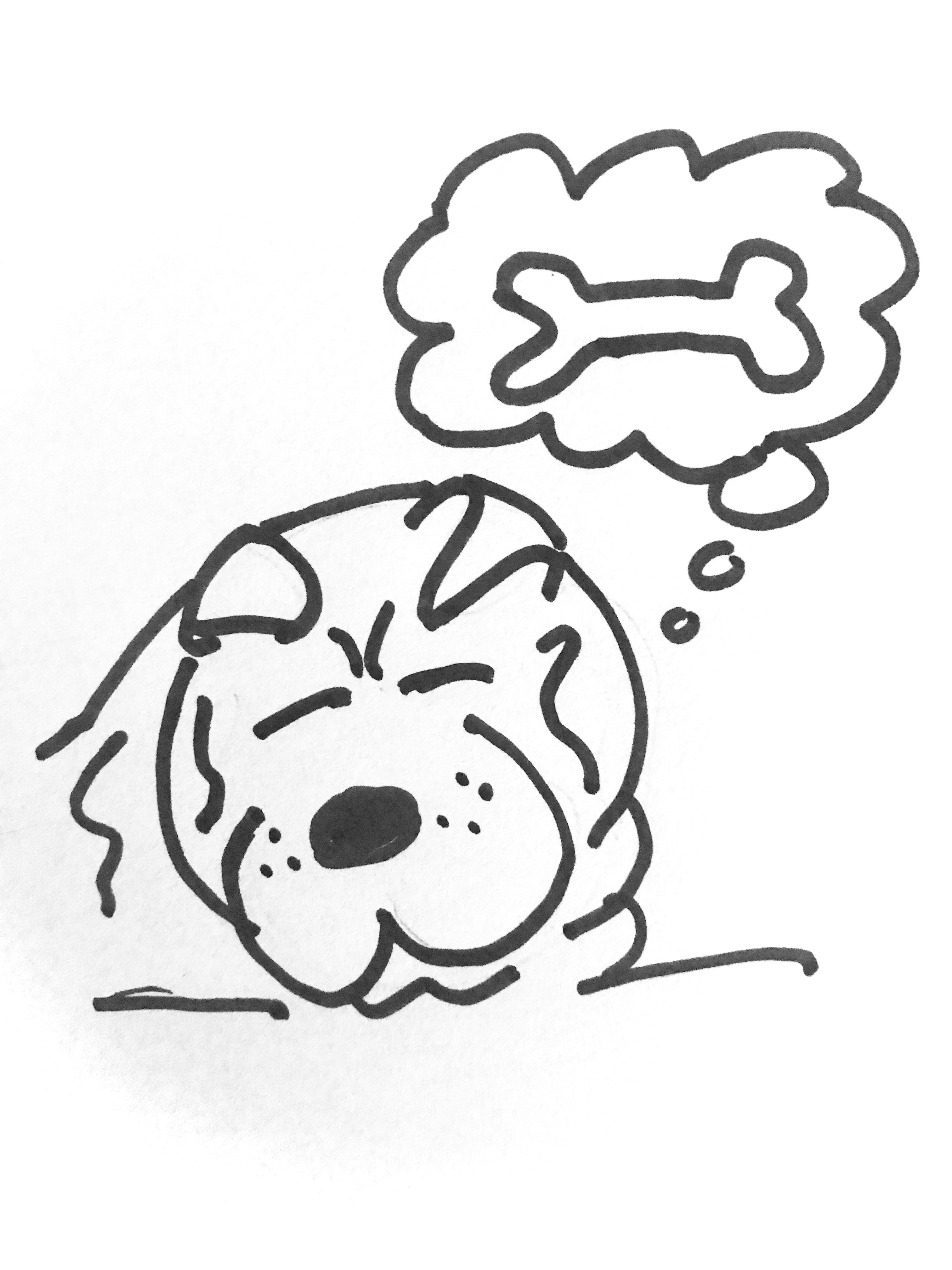 that b****y dog