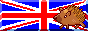British Hedgehog