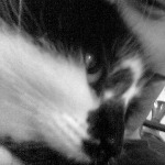 Shen and Cat